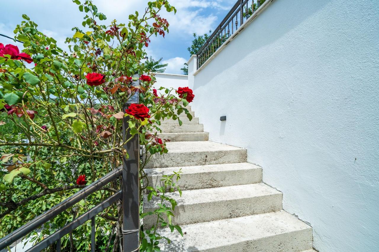 Hidden Gem Apartment Molunat Exterior foto